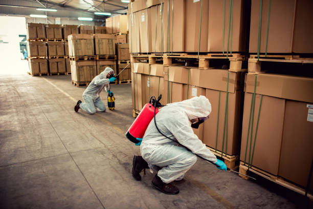 Wildlife Control Services in King City, OR