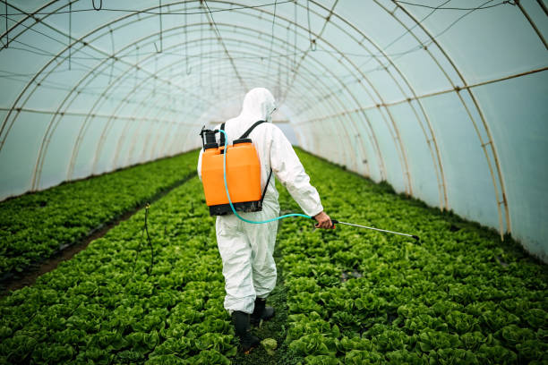 Best Pest Removal Services  in King City, OR