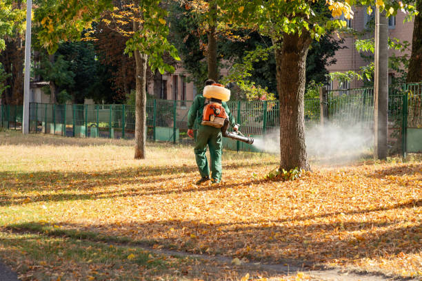 Best Pest Control Treatment  in King City, OR